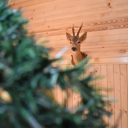 Tatil Evi Vikendica Dokovic 2 - Jahorina *